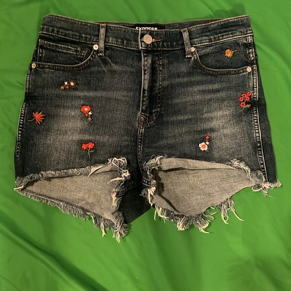Express Embroidered Denim Shorts size 10 - Picture 2 of 9